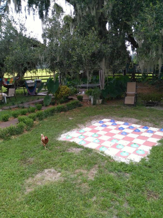 Kokomo Farms Agroturismo Live Oak