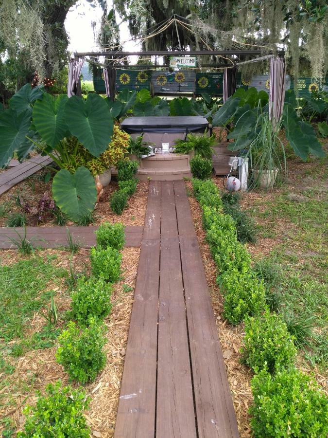 Kokomo Farms * Live Oak